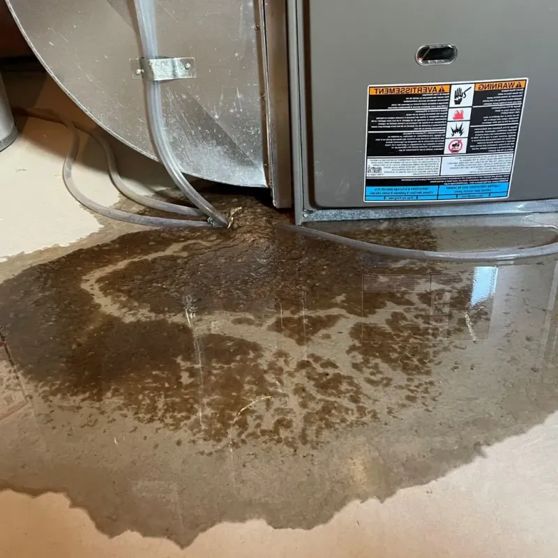 Pipe Burst and Leak Restoration in Spanish Fork, UT