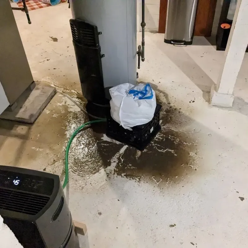 Sewage Backup Cleanup Service in Spanish Fork, UT